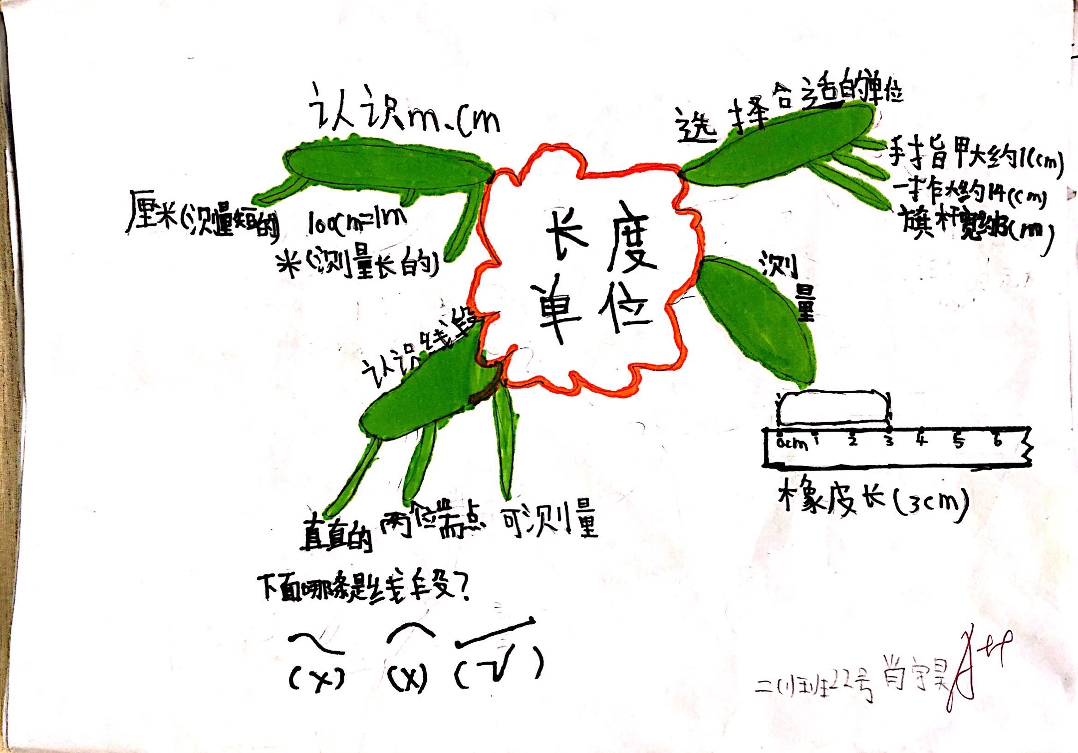 知识梳理模板好看图片