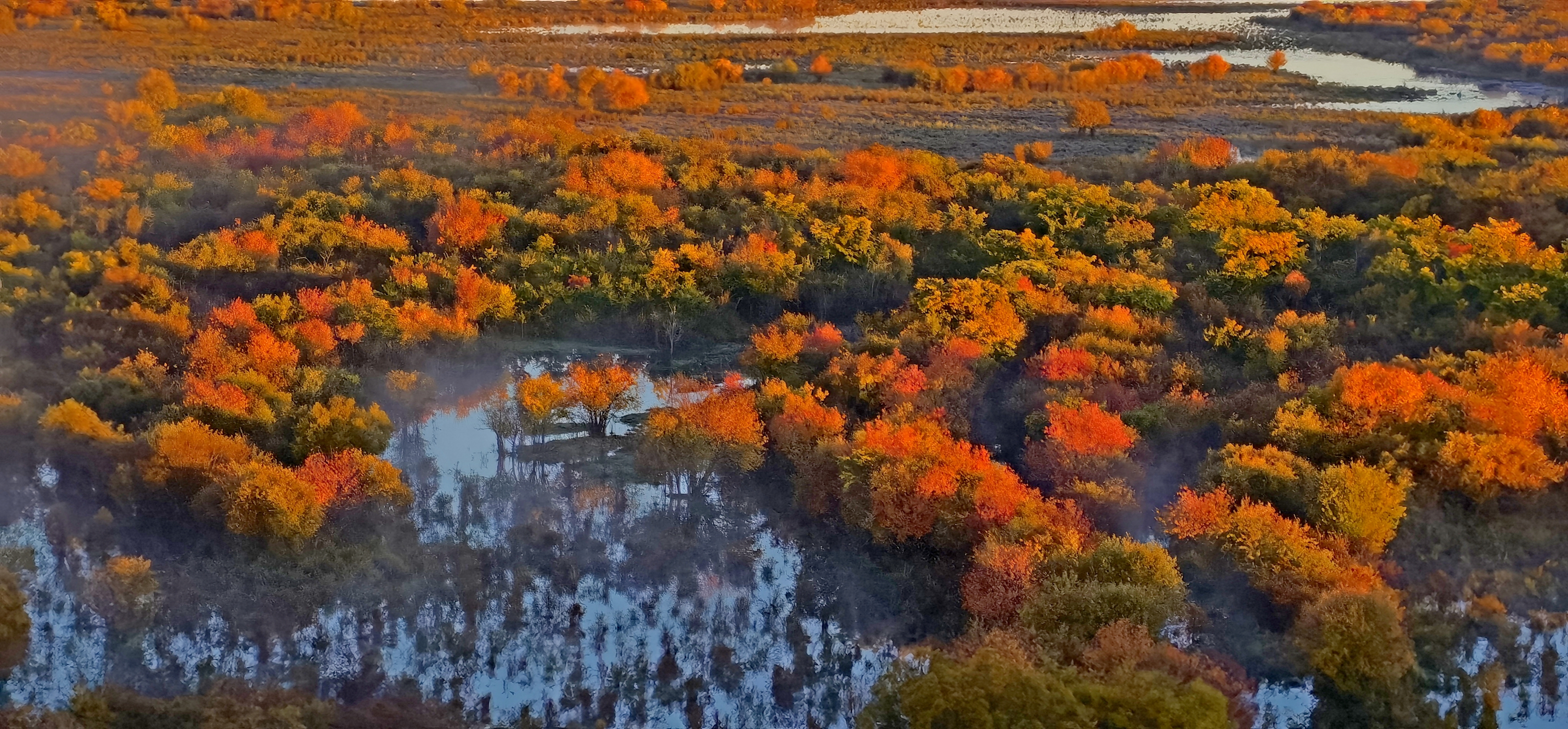走进秋天的童话