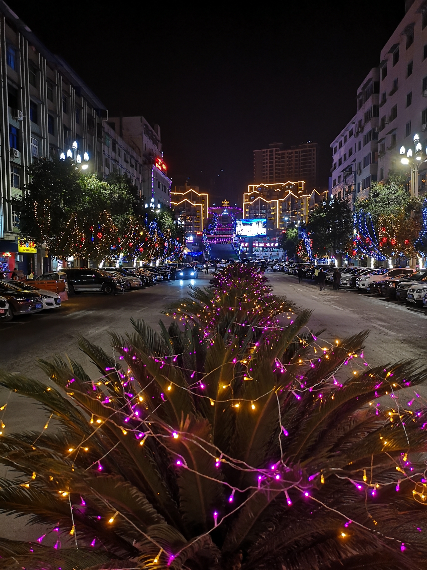 我的家乡一一万源