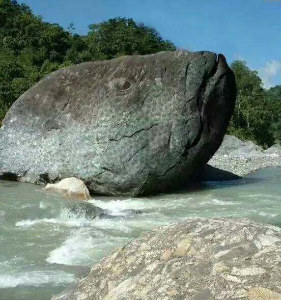 形态各异的奇石怪山