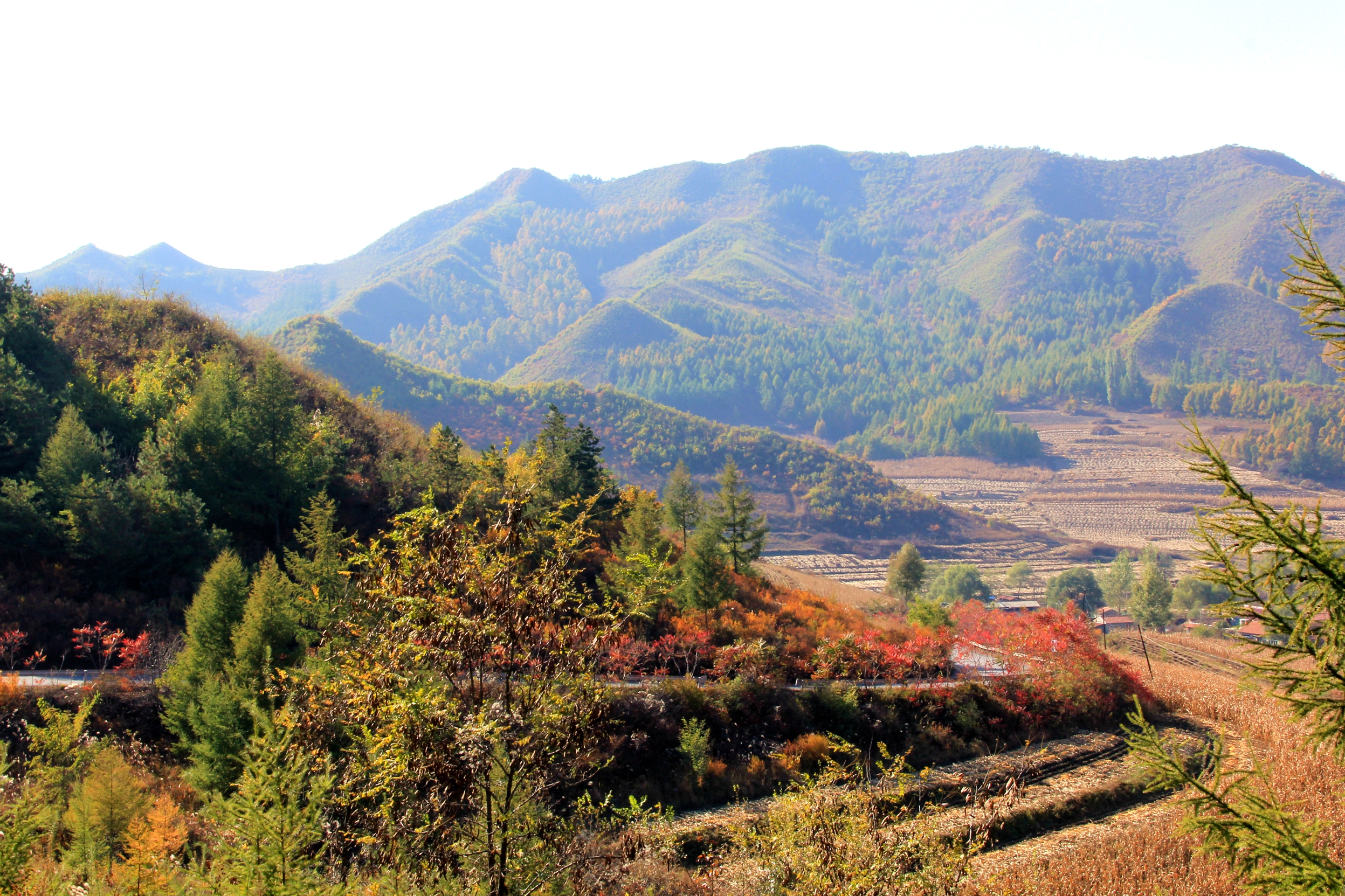 连山关镇秋色连山关镇秋色我们在路上拍摄连山关镇秋色遇岱远望群山