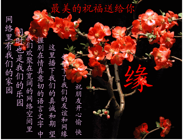 今生有缘真心惜缘