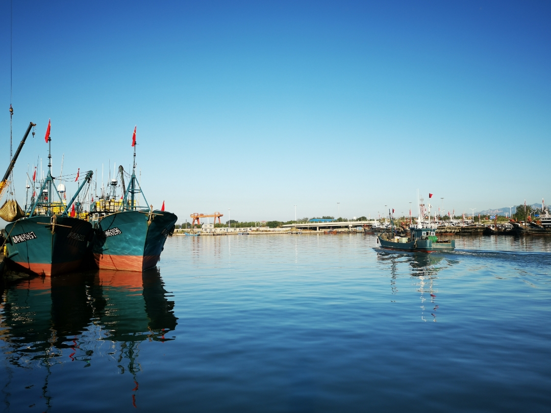 秦皇岛市山海关区沟渠寨沙河口渔港现场