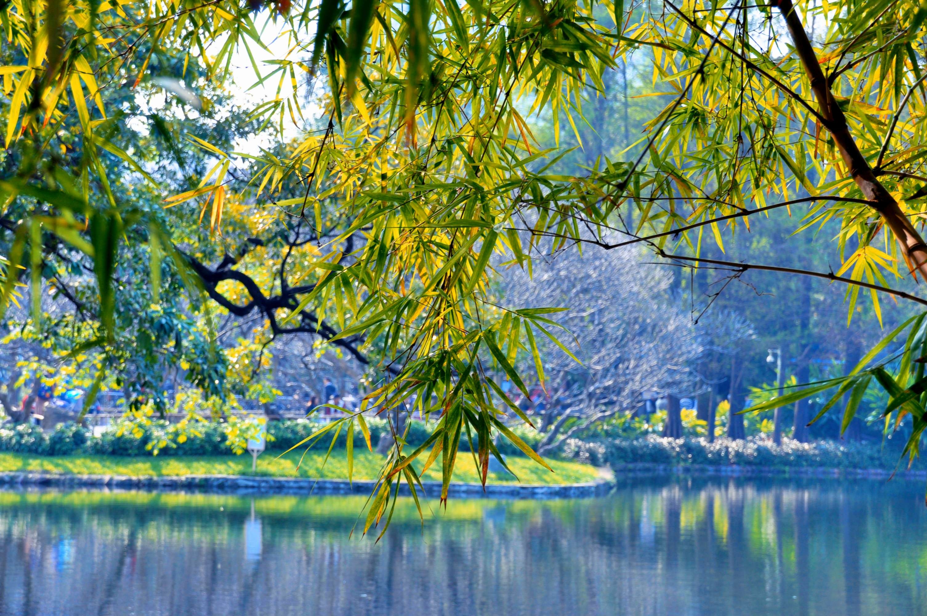 (首发)春日放晴