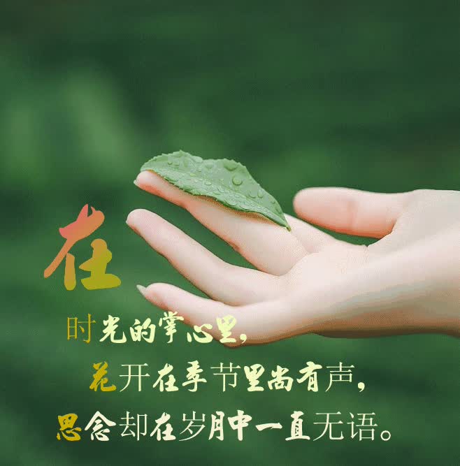 默默相守长久相伴