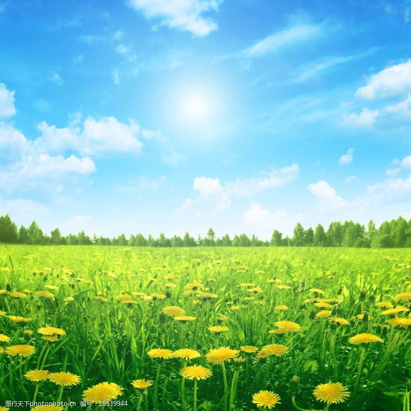 歌曲微腾花演唱平安是福