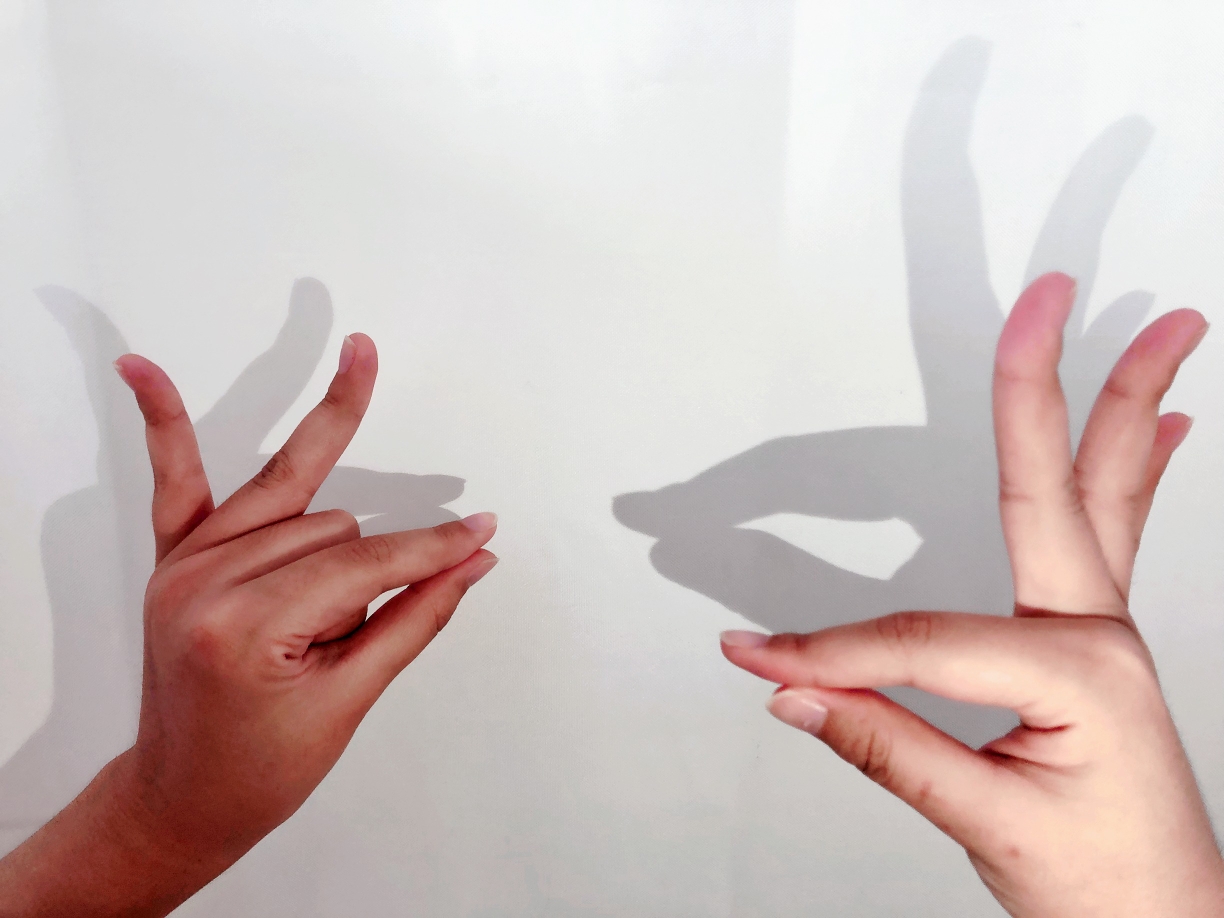 活动延伸:手影儿歌我在墙壁前,表演一双手:变小猫爬墙走,变小狗张大口