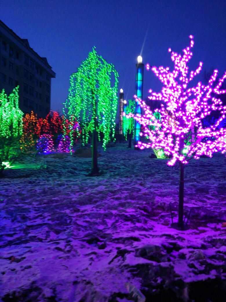 春之歌一手机摄像大赛2018年正月十五黑龙江省虎林市的大街小巷各种灯