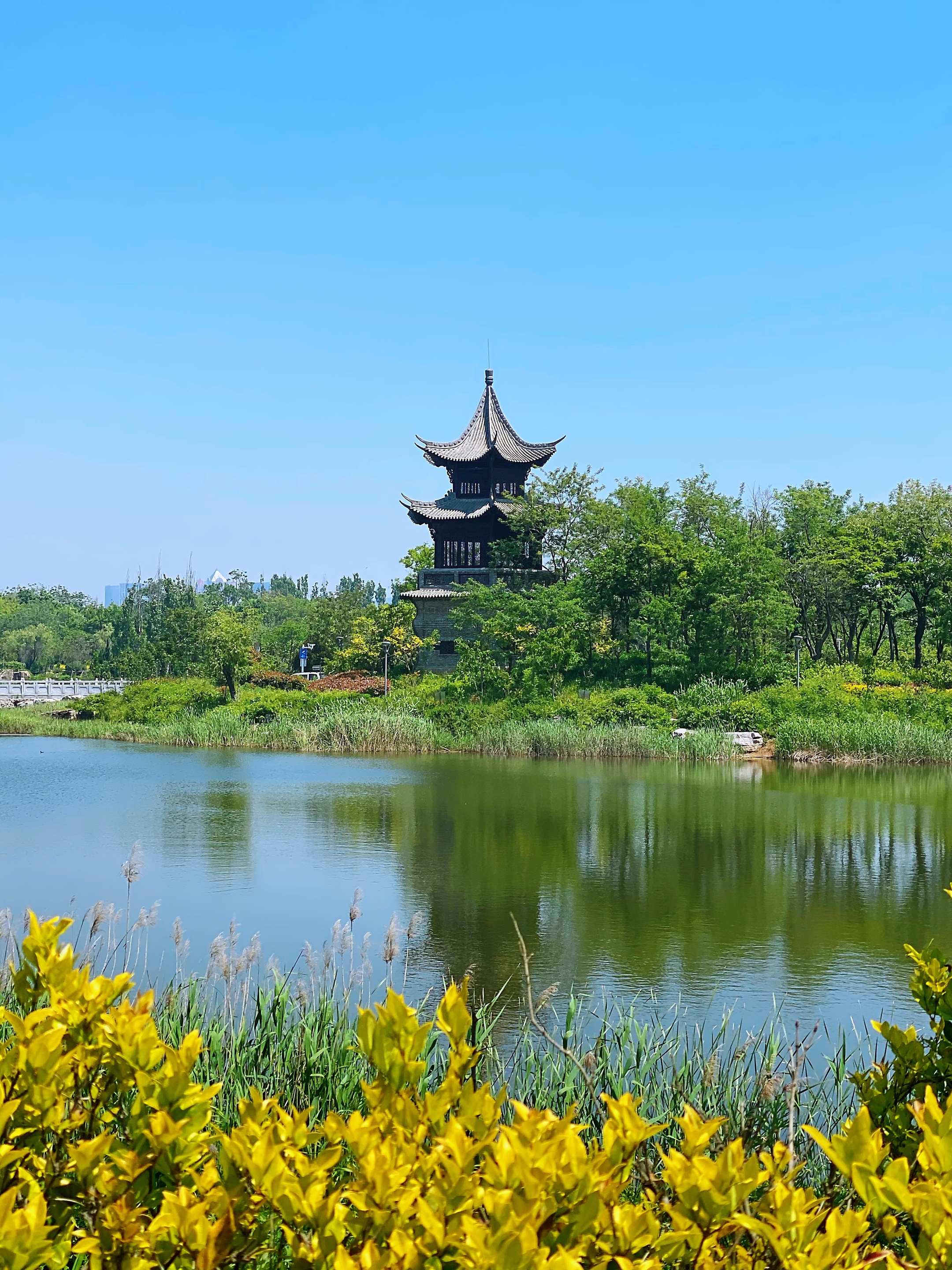 【首发】海西湿地公园掠影