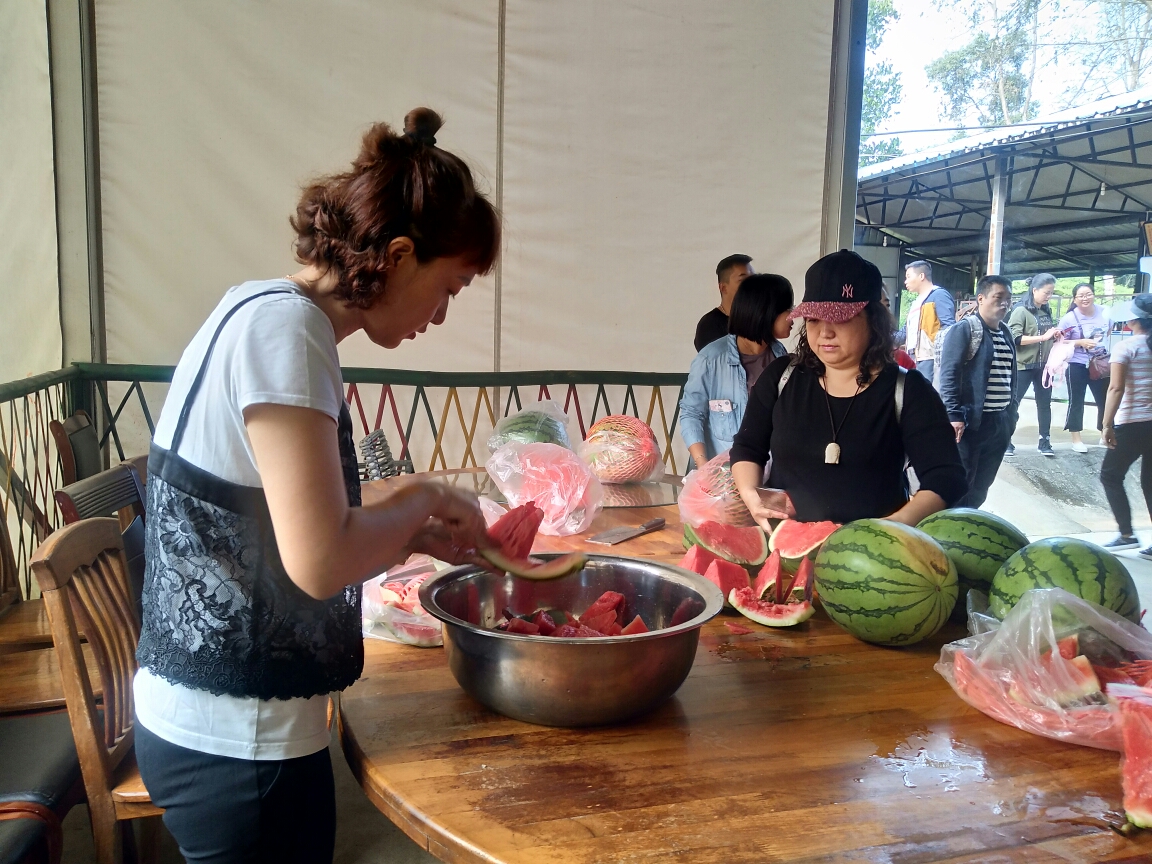 聚焦Ⅱ就在今天芒市三小200班同学走进载瓦拥他们去干什么