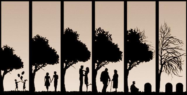 人生一辈子无非六张图