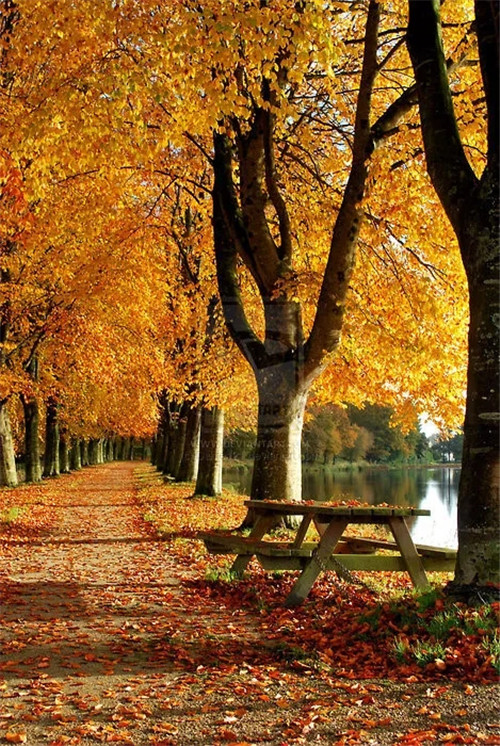 硕果文学社诗词赏析(第07期)