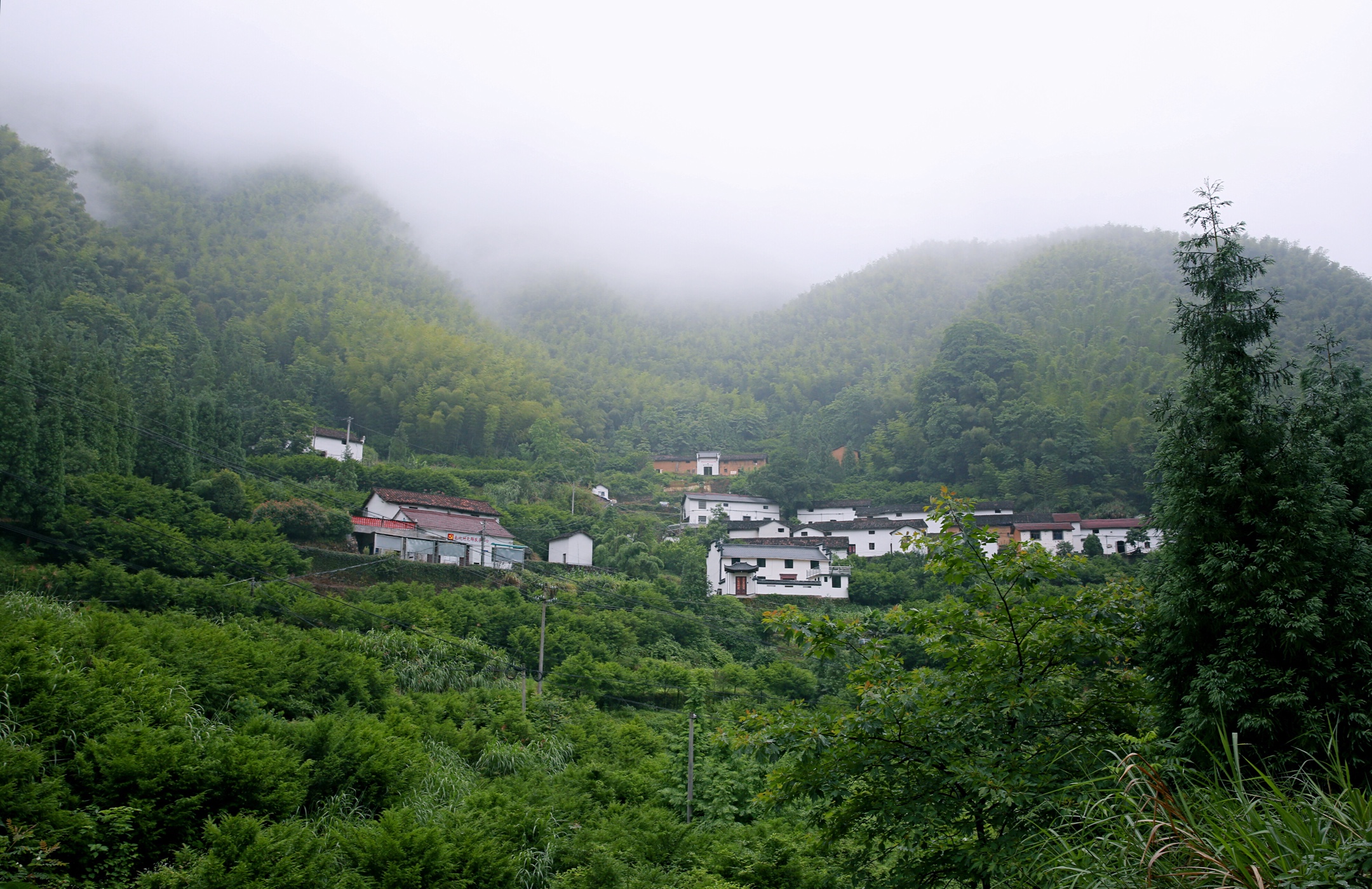 美麗山村待君來革命老區塔石鄉上南坑村行記