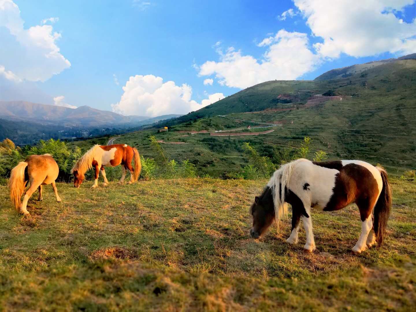 风光秀美万安山高山牧场让你体验蒙古族别样风情
