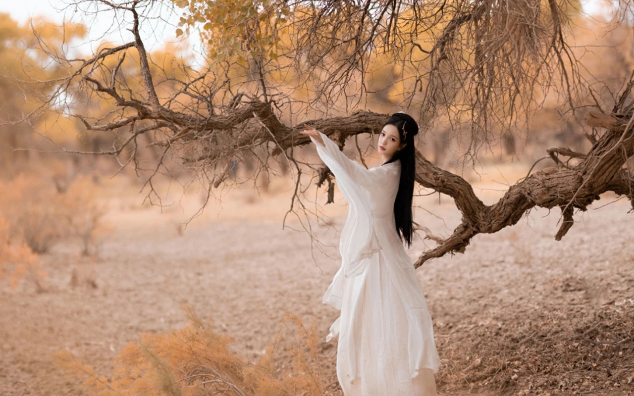 【章台柳】柳叶年年落满河,可惜丝绦总闲却(首发)