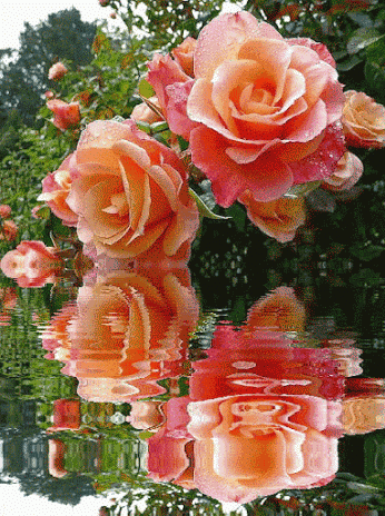 春绿大地 , 百花齐放播撒着希望……追随着春天飞