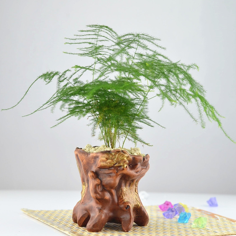 大西北文化艺群《双十一摆擂台》 v篇收集制作-陕西礼泉陈哲