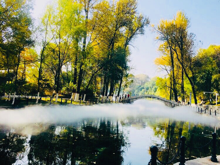 西寧市麒麟灣公園的秋景驚豔了誰