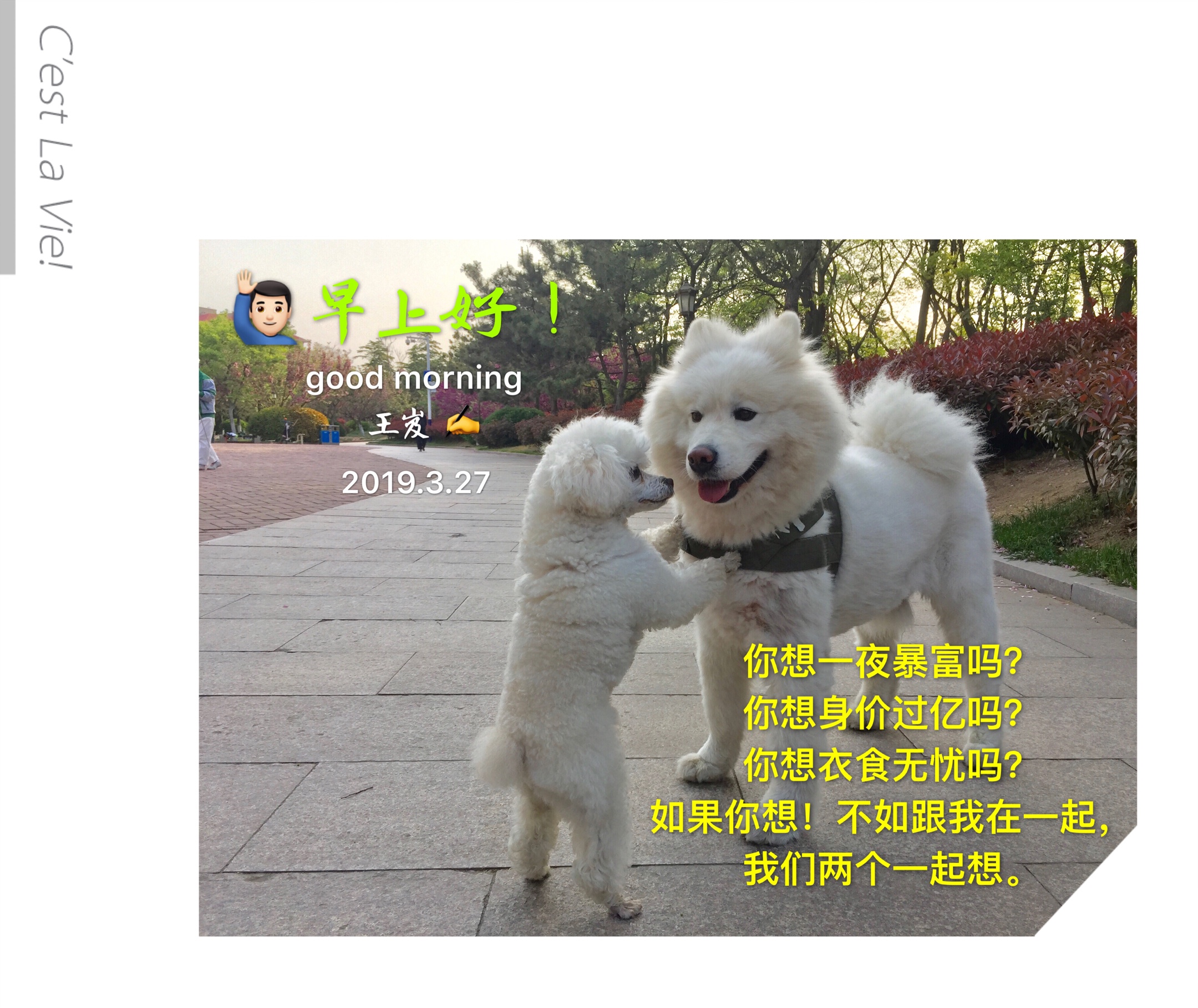 2019年3月1日至3月31日的早安问候语集锦