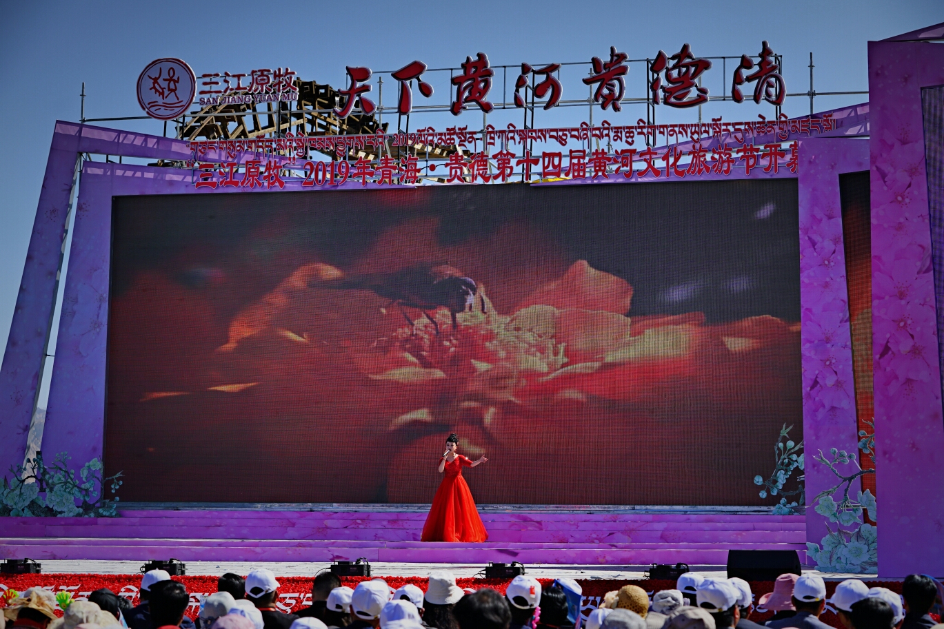 黄河春水碧如蓝梨花堆雪展新颜四月我们相约贵德