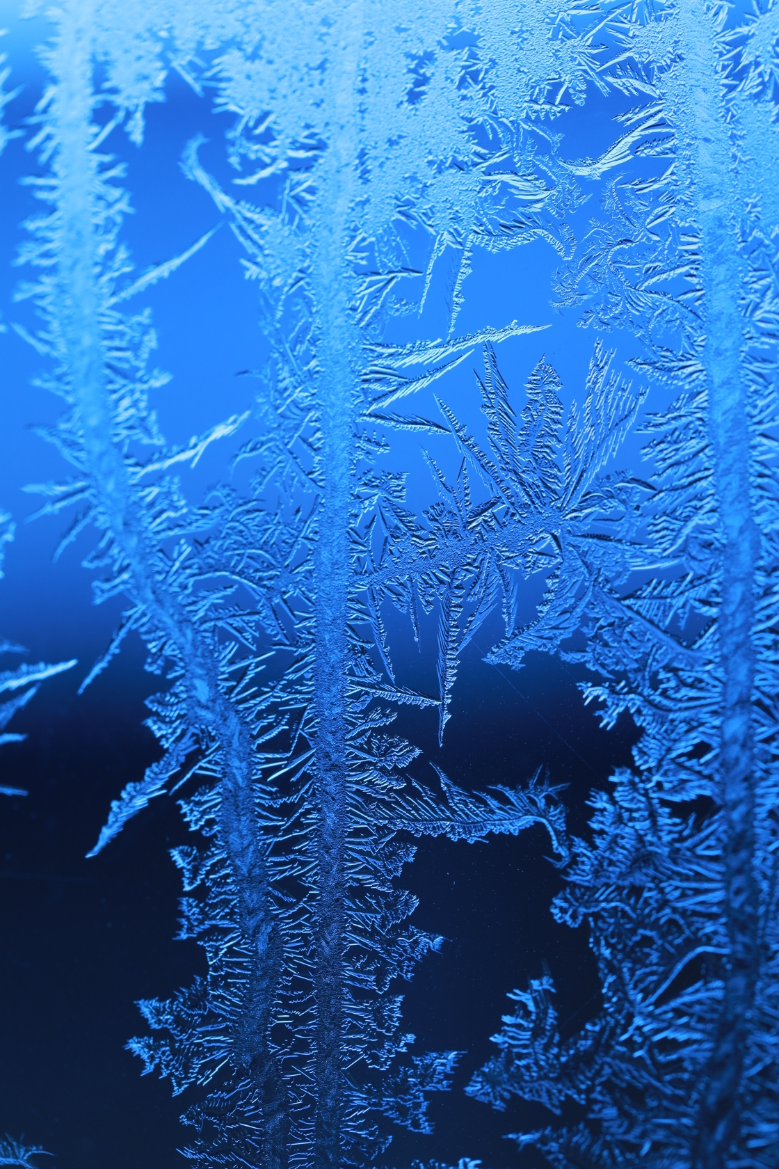 原片微距摄影冰凌窗花