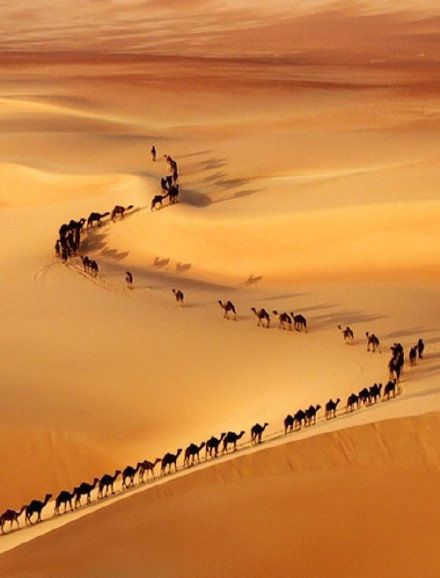 大漠诗风(古诗词)【vv首发】