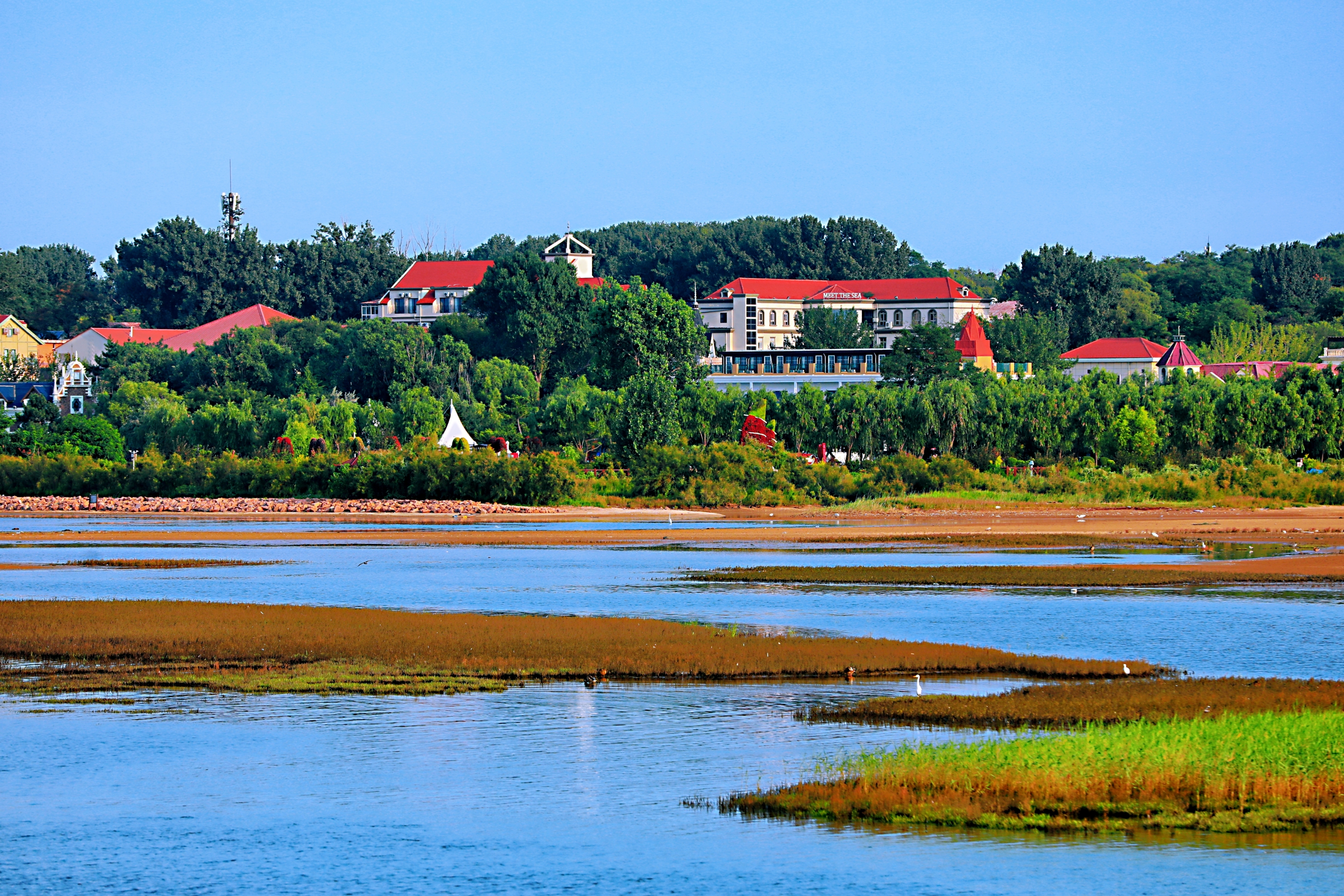 北戴河湿地是我国最大的城市湿地,面积达50多万亩,森林6600多
