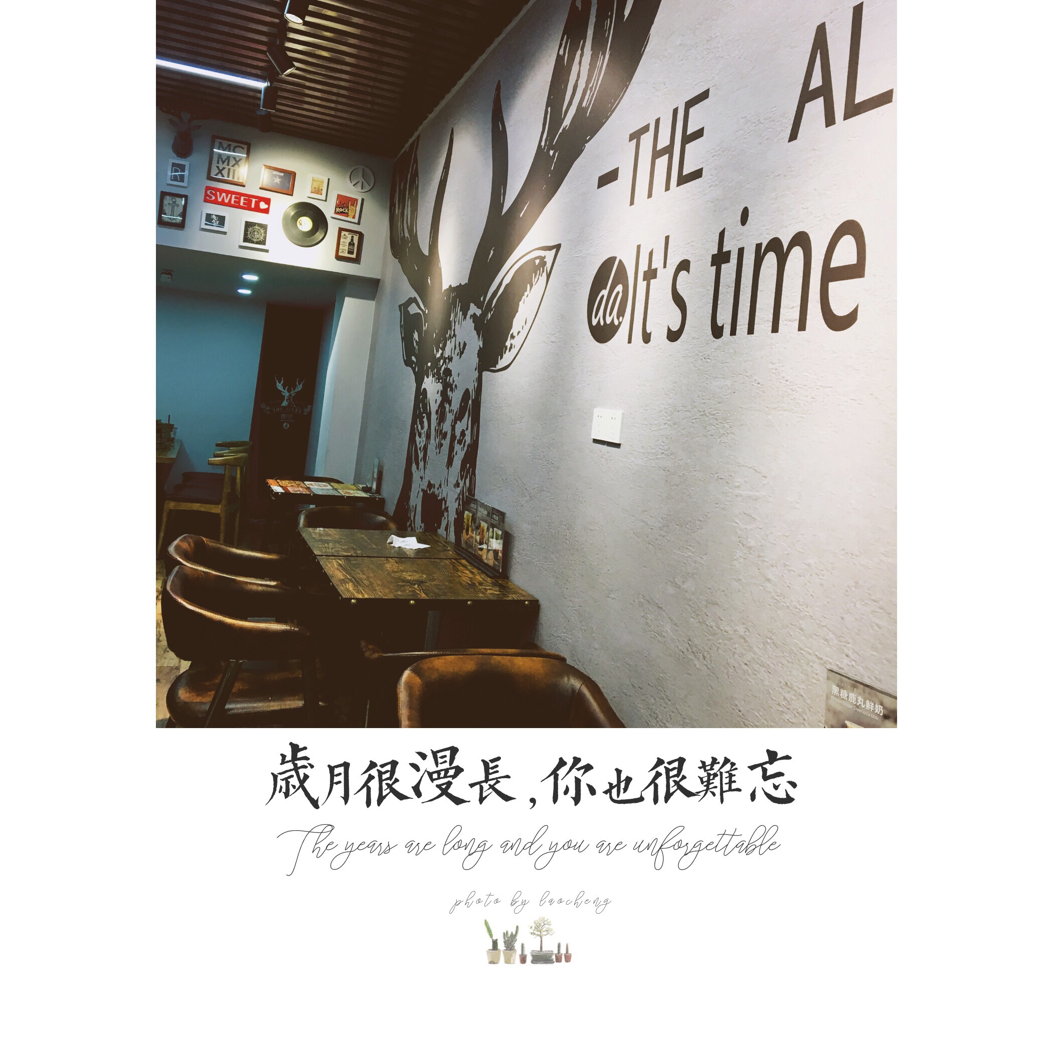 23月刊胖虎的解忧日记