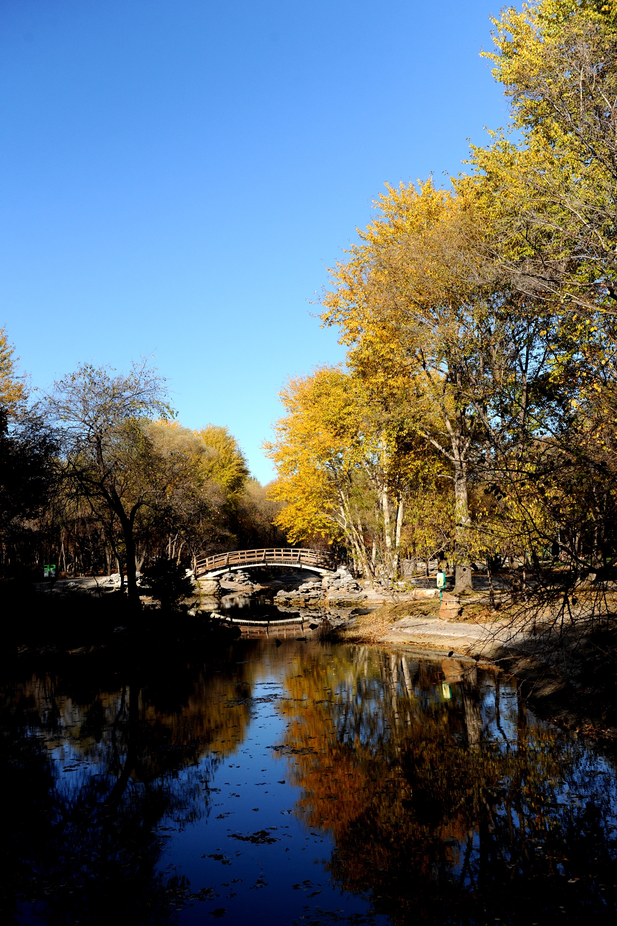 金秋我们来到太阳岛上