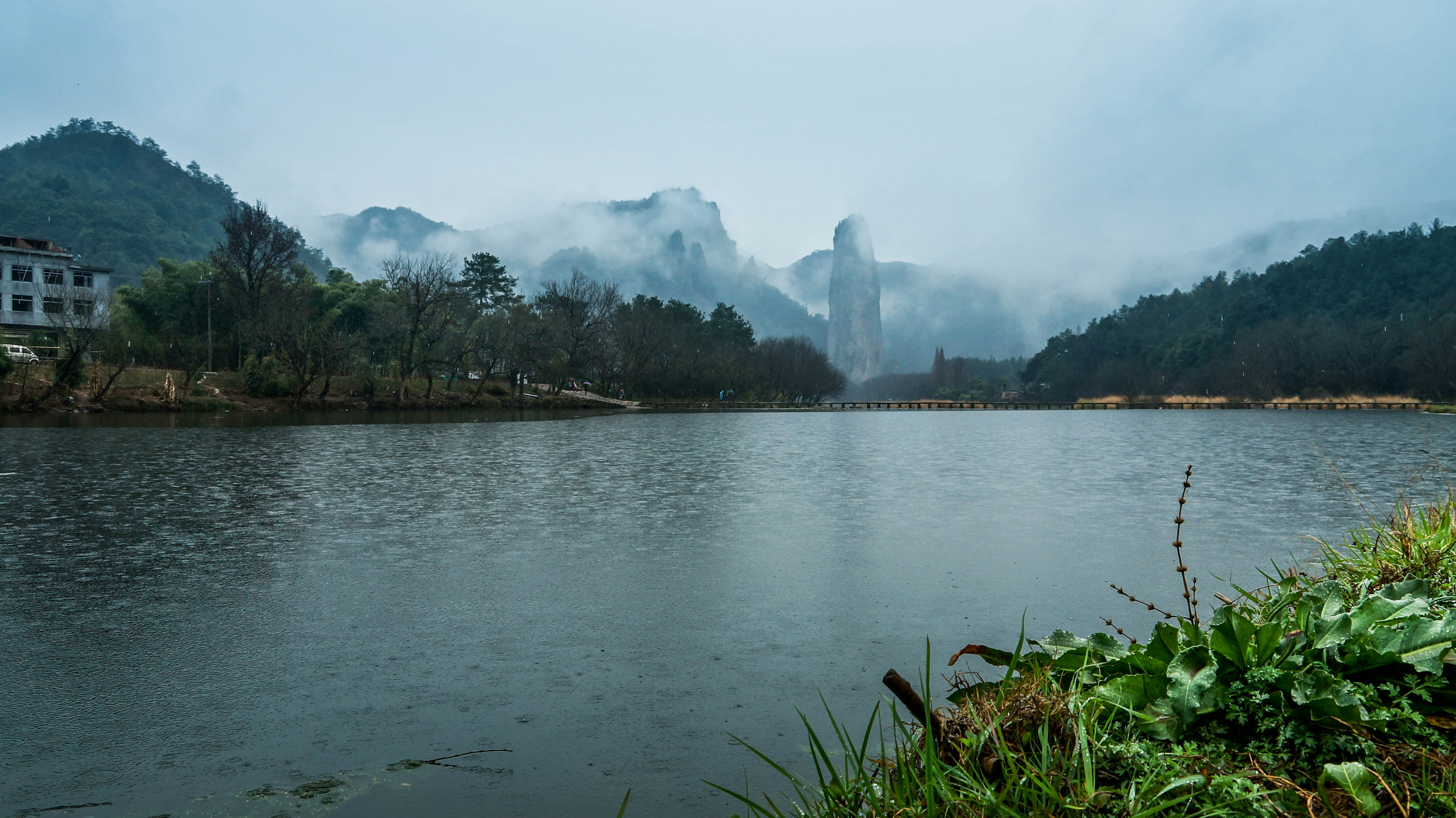 瓯江春雨图