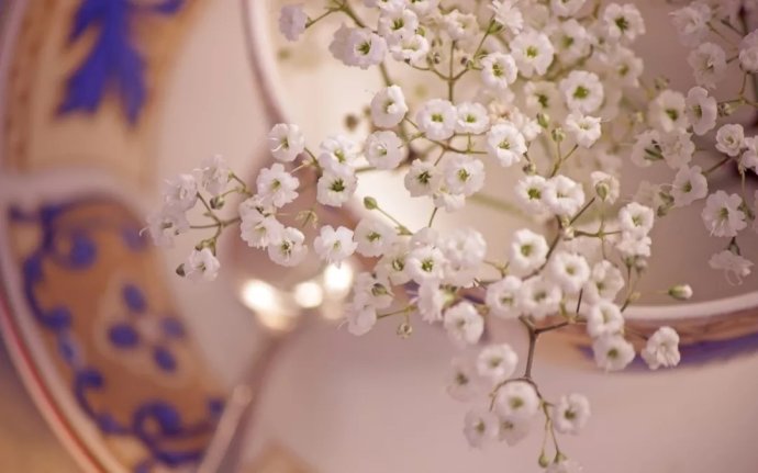 刚刚好作者碑林路人诵读淡雅