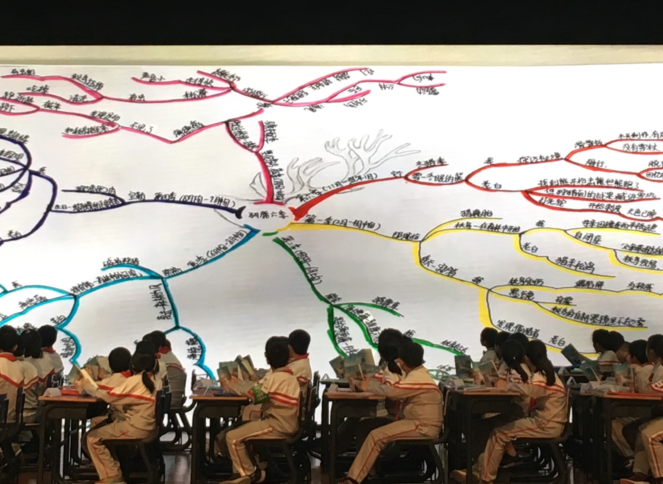 整本书阅读交流课驯鹿六季第三届全国小学绘本课程与教学研讨会