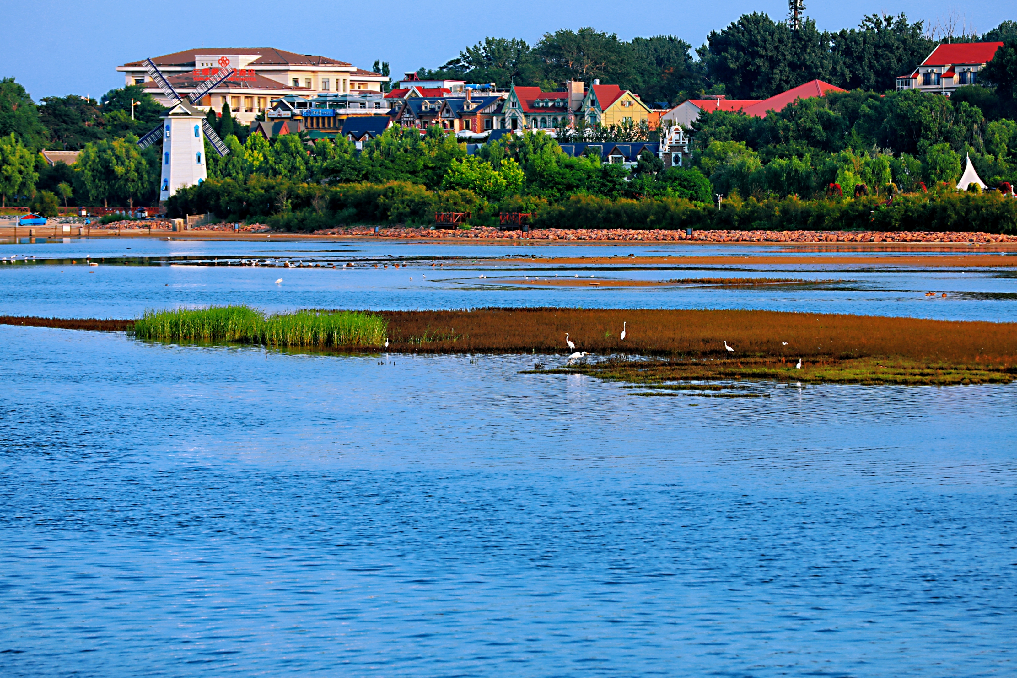 北戴河湿地