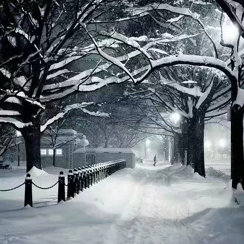 冬雪夜 一份无药解的思念 一丝淡淡的甜 . . . . . .