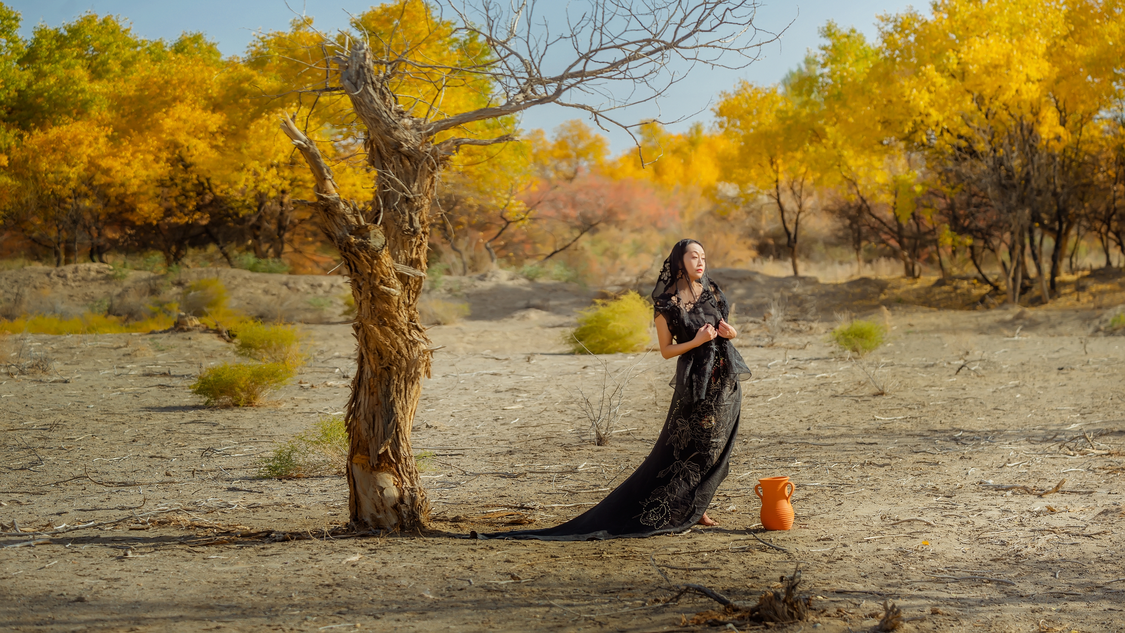 首发[我~孤独的守望]影诗视.原创