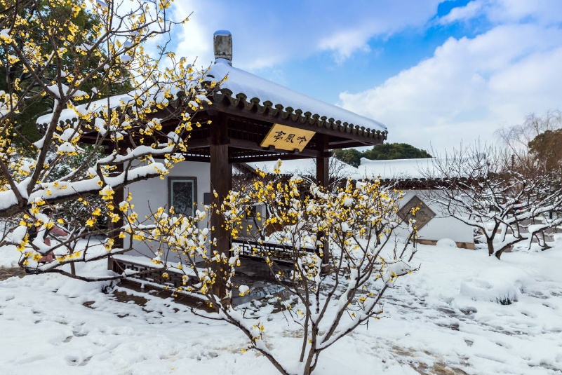 雪中梅园