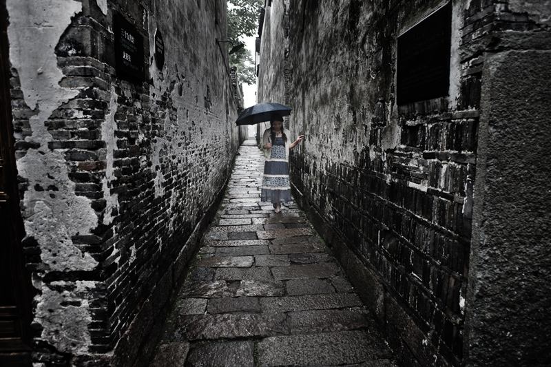 了她的芬芳消了她的颜色在雨的哀曲里走尽这雨巷到了颓圮的篱墙她静默