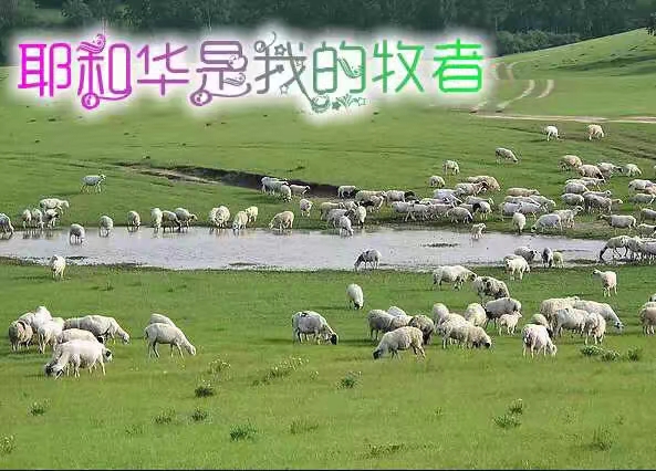 寻求耶和华的什么好处都不缺