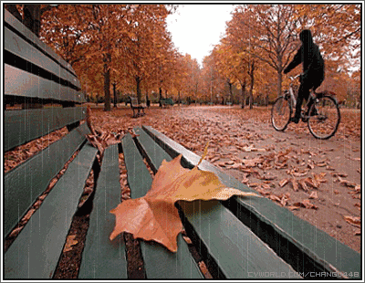 将思念寄往天涯作者:贾金桃朗诵:桃李主播团