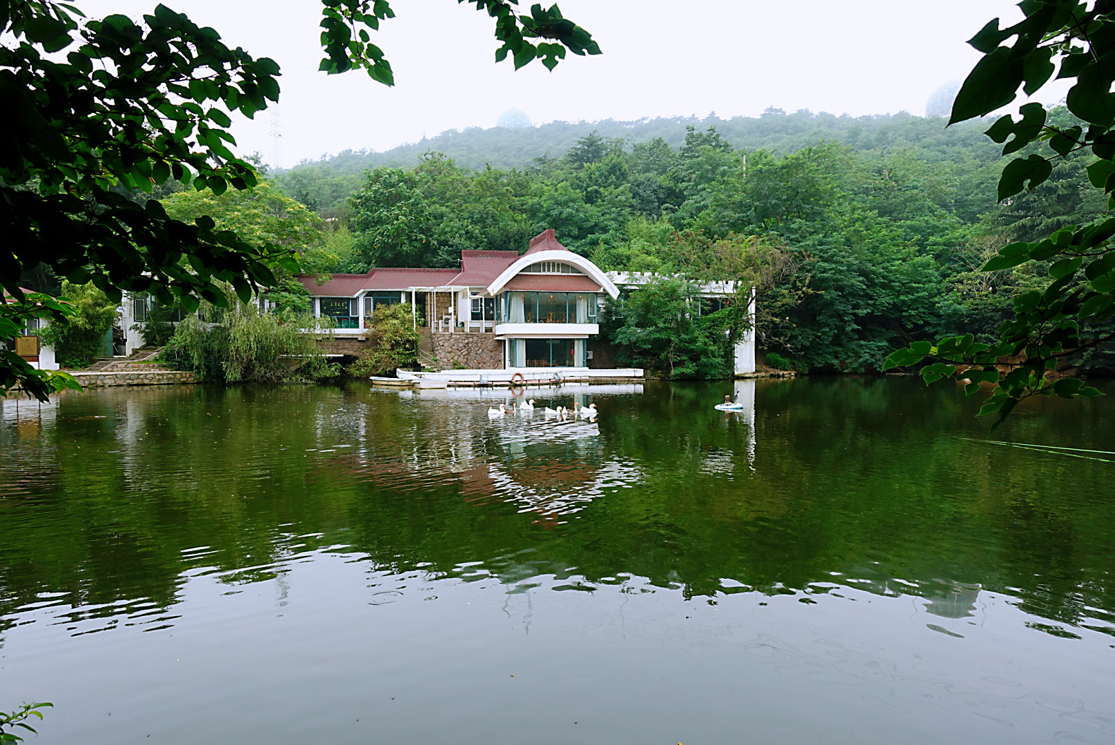 【首发】青岛植物园掠影