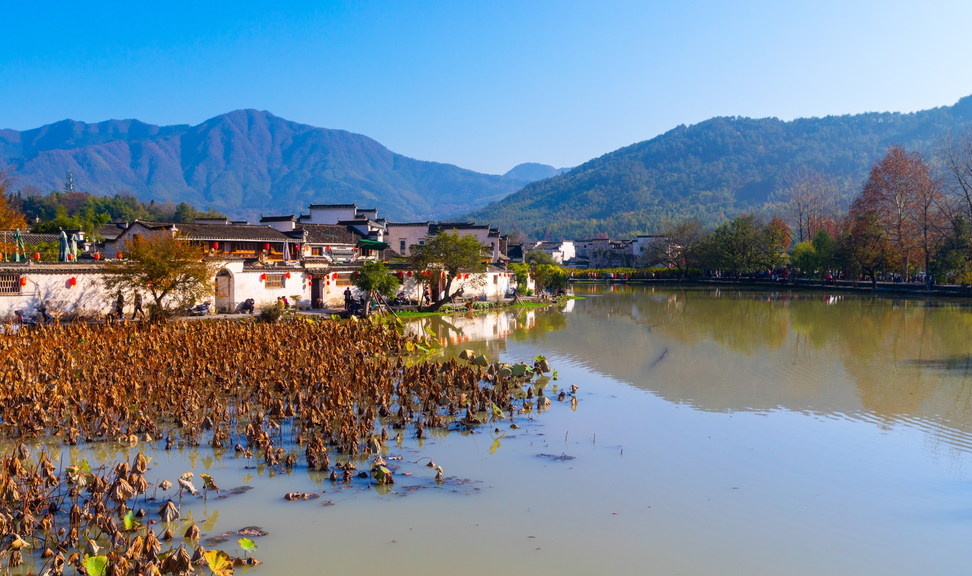 宏村秋色美如画