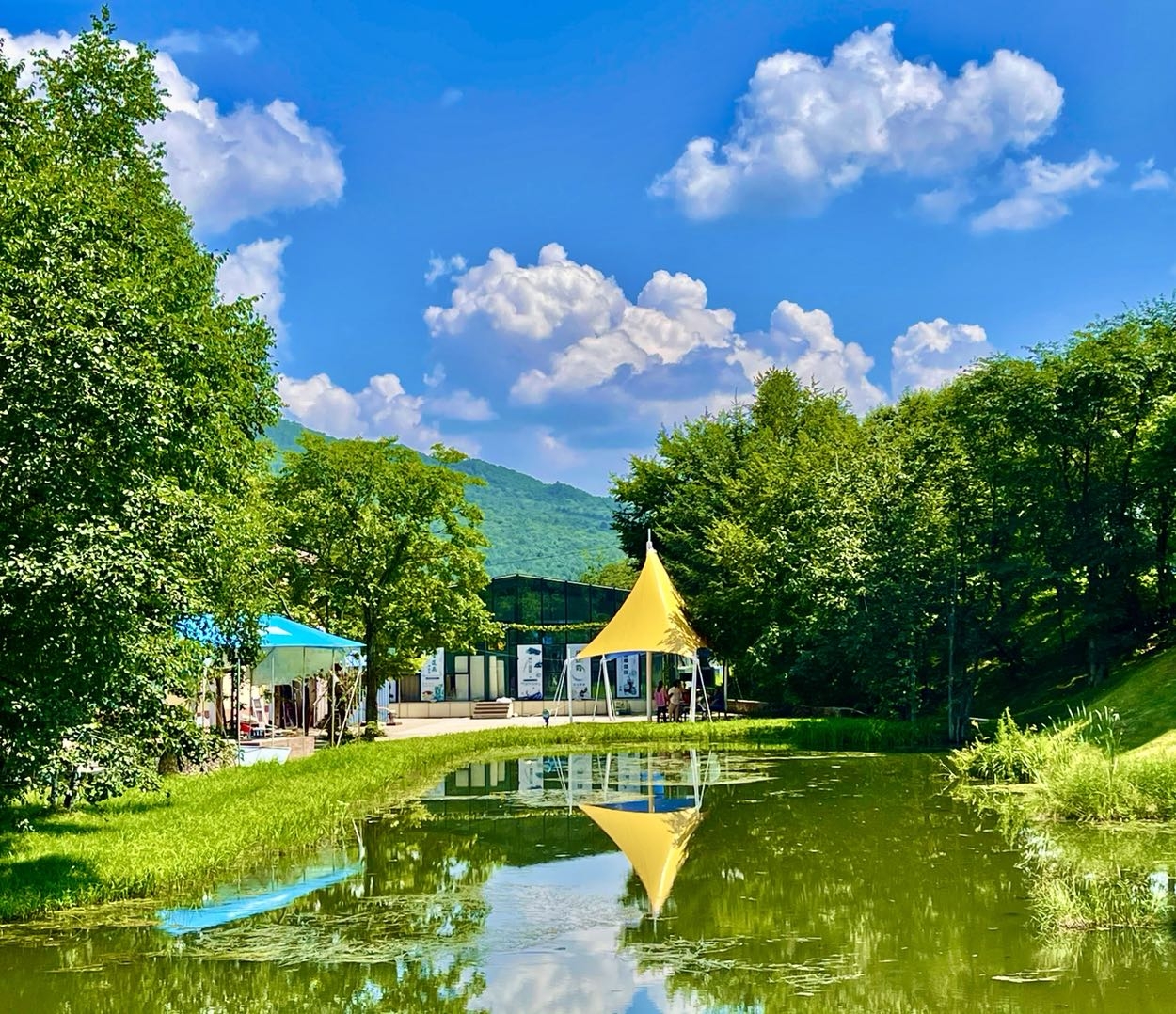 伊春市金山区"九峰山养心谷". 2021年手机拍摄—23.