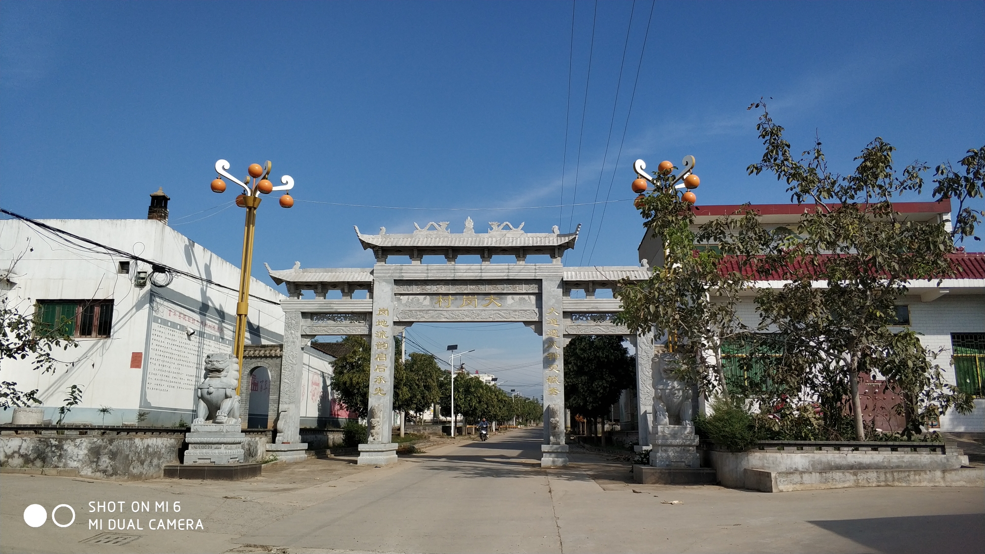 回故乡大岗人201910