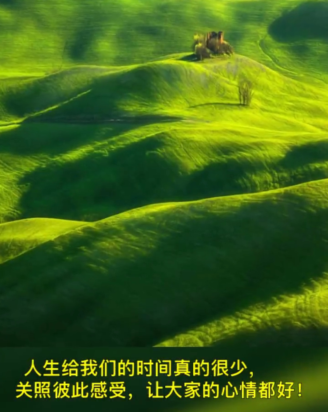 《活着真好》作者:佚名