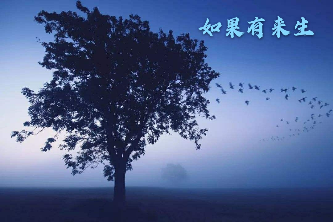 如果有来生图片伤感图片