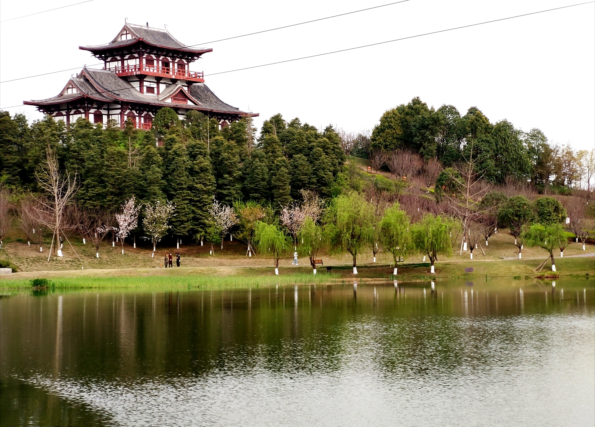 青白江凤凰湖全景图片