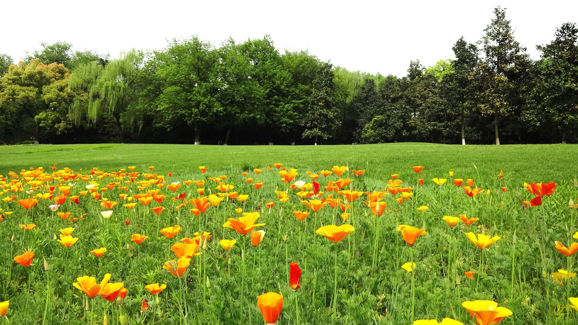 春之惑千娇媚万物生