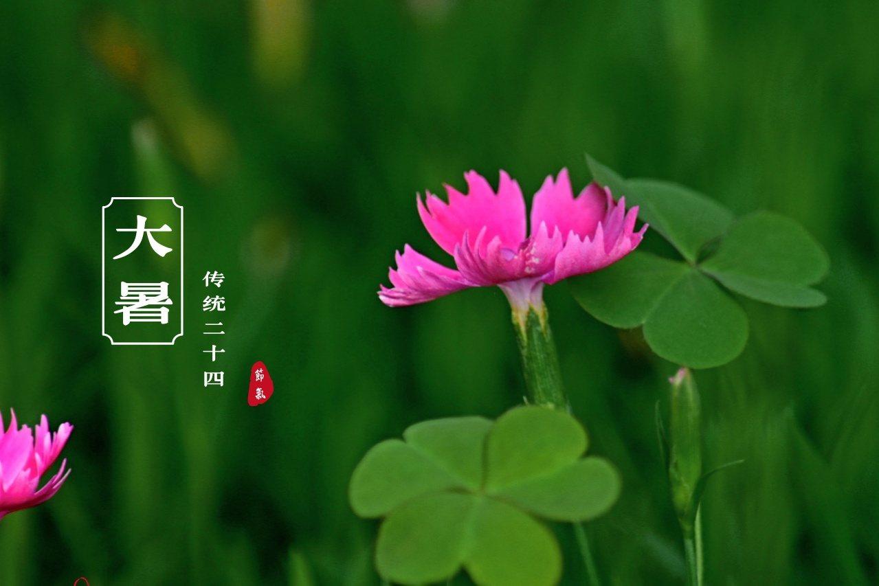 2021年7月22日,大暑!