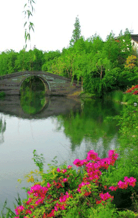 天  苍旻缀月星,碧霄孤云清, 昼夜轮回替,青空互换庚,  春风百卉艳