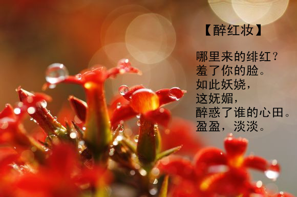 红尘来去一场梦.